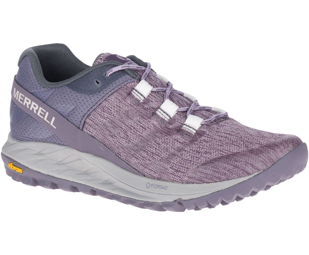 Merrell Sneakers Purple - Antora - Womens 86HRJPWMQ